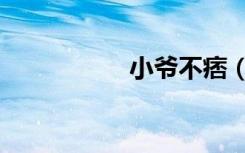 小爷不痞（小爷不狂）
