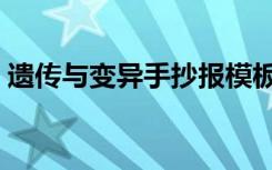 遗传与变异手抄报模板（遗传与变异手抄报）
