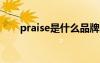 praise是什么品牌的鞋子（praises）