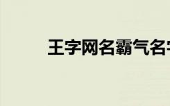 王字网名霸气名字大全（网资网）