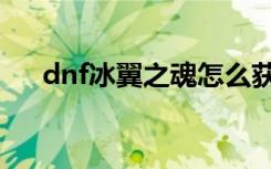 dnf冰翼之魂怎么获得（dnf冰翼之魂）