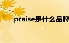 praise是什么品牌的鞋子（praises）