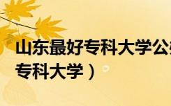 山东最好专科大学公办400分以上（山东最好专科大学）