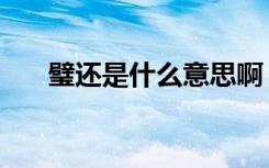 璧还是什么意思啊（璧还是什么意思）
