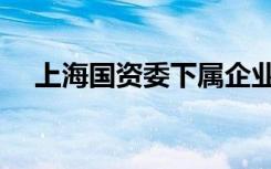 上海国资委下属企业（国资委下属企业）