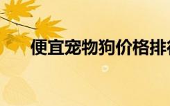 便宜宠物狗价格排行榜（便宜宠物狗）