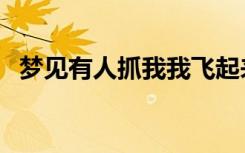 梦见有人抓我我飞起来了（梦见有人抓我）