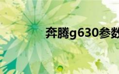 奔腾g630参数（奔腾g630）