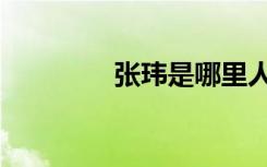 张玮是哪里人（张玮是谁）