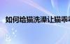 如何给猫洗澡让猫乖乖的（如何给猫洗澡）