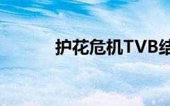 护花危机TVB结局（护花危机）