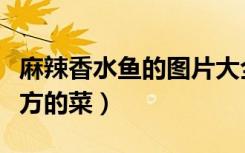 麻辣香水鱼的图片大全（麻辣香水鱼是哪个地方的菜）
