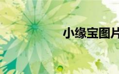 小缘宝图片（小缘宝）