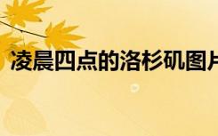 凌晨四点的洛杉矶图片（凌晨4点的洛杉矶）