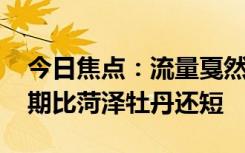 今日焦点：流量戛然而止 网友：郭有才的花期比菏泽牡丹还短