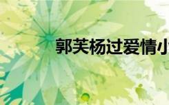 郭芙杨过爱情小说（郭芙杨过）