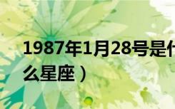 1987年1月28号是什么星座（1月28号是什么星座）