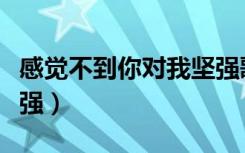 感觉不到你对我坚强歌词（感觉不到你对我坚强）