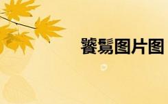 饕鬄图片图（饕鬄图片）
