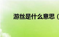 游丝是什么意思（屌丝是什么意思）