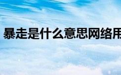暴走是什么意思网络用语（暴走是什么意思）