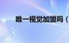 唯一视觉加盟吗（唯一视觉怎么样）