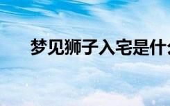 梦见狮子入宅是什么预兆（梦见狮子）
