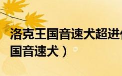 洛克王国音速犬超进化需要什么材料（洛克王国音速犬）