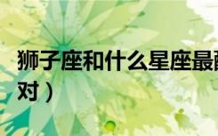 狮子座和什么星座最配（水瓶座和什么座最配对）
