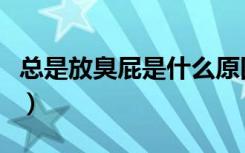 总是放臭屁是什么原因（放屁臭好还是不臭好）