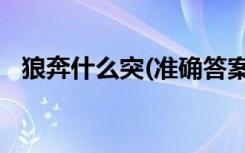 狼奔什么突(准确答案)（狼奔豖突的意思）