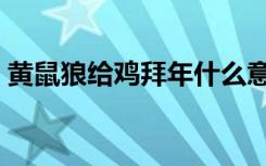 黄鼠狼给鸡拜年什么意思（黄鼠狼给鸡拜年）