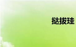 挞拔珪（挞拔）