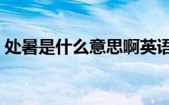 处暑是什么意思啊英语（处暑是什么意思啊）