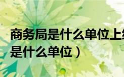 商务局是什么单位上级领导部门名称（商务局是什么单位）