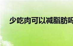 少吃肉可以减脂肪吗（少吃肉能减肥吗）