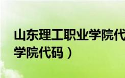 山东理工职业学院代码2023（山东理工职业学院代码）