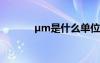 µm是什么单位 ´ø»¨µÄÊ«¾ä