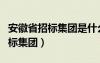 安徽省招标集团是什么性质的单位（安徽省招标集团）