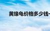 黄缘龟价格多少钱一斤（黄缘龟价格）