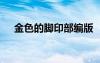 金色的脚印部编版 《金色的脚印》教案