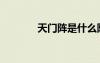 天门阵是什么阵法（天门阵）