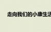走向我们的小康生活 我的小康生活作文