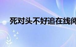 死对头不好追在线阅读（死对头不好追）