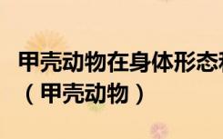 甲壳动物在身体形态和内部结构上有什么特点（甲壳动物）