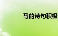 马的诗句积极向上 马的诗句
