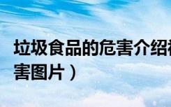 垃圾食品的危害介绍视频动画（垃圾食品的危害图片）