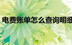 电费账单怎么查询明细（电费账单网上查询）