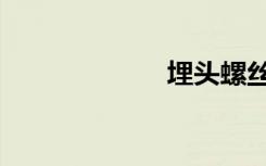 埋头螺丝（埋头）