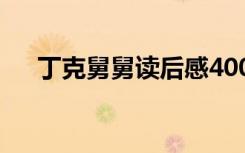 丁克舅舅读后感400字 丁克舅舅读后感